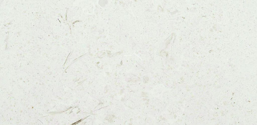 shellBeige limestone